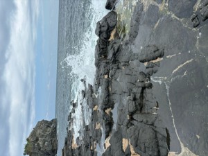 image1 (1)